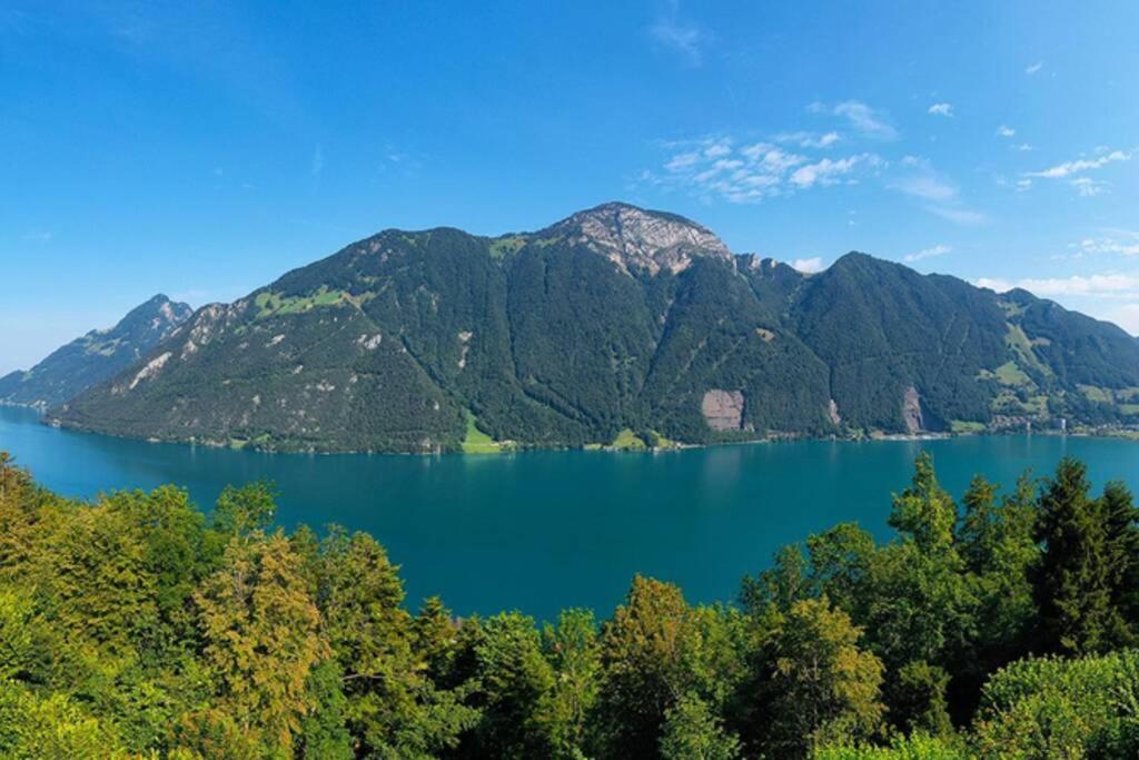 Exklusives Chalet Mit Traumhafter See- Und Bergsicht เซลิสแบร์ก ภายนอก รูปภาพ